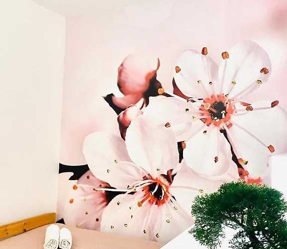 Appartement Beshtie