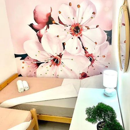 Appartement Beshtie