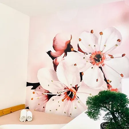 Apartment Beshtie