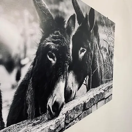 Beshtie Apartament *