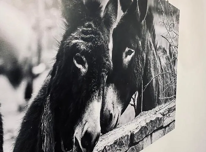 Beshtie Διαμέρισμα *